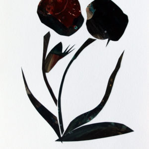 Ingrid Holborn Art Floral Series 2 Duo